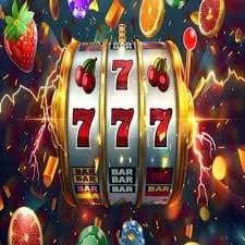 bk223